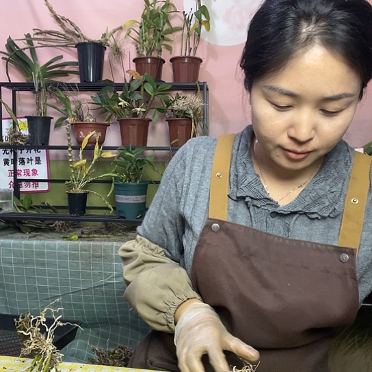 完全开放短棒一份