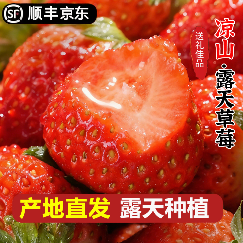 【基地直采】LZ高山露天种植奶油草莓鲜水果顺丰京东200g/盒2-4盒