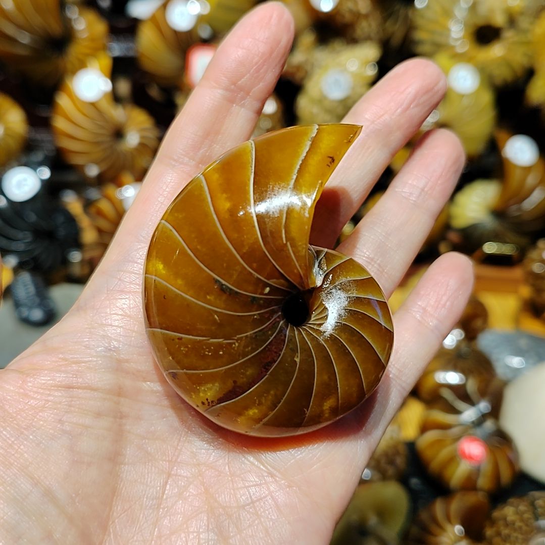 m***s有机玻璃123456789