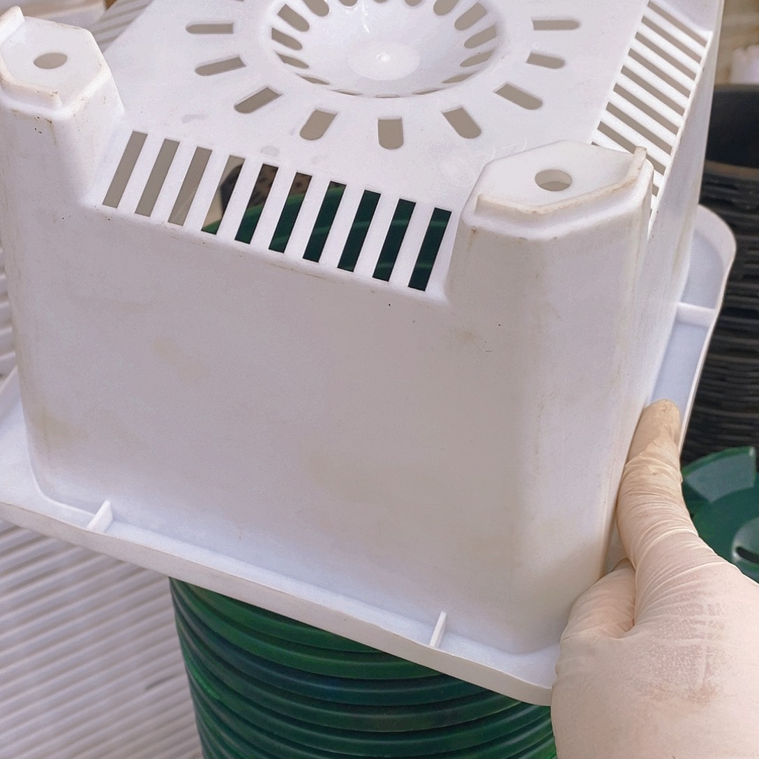 塑料新22公分白方盆5个