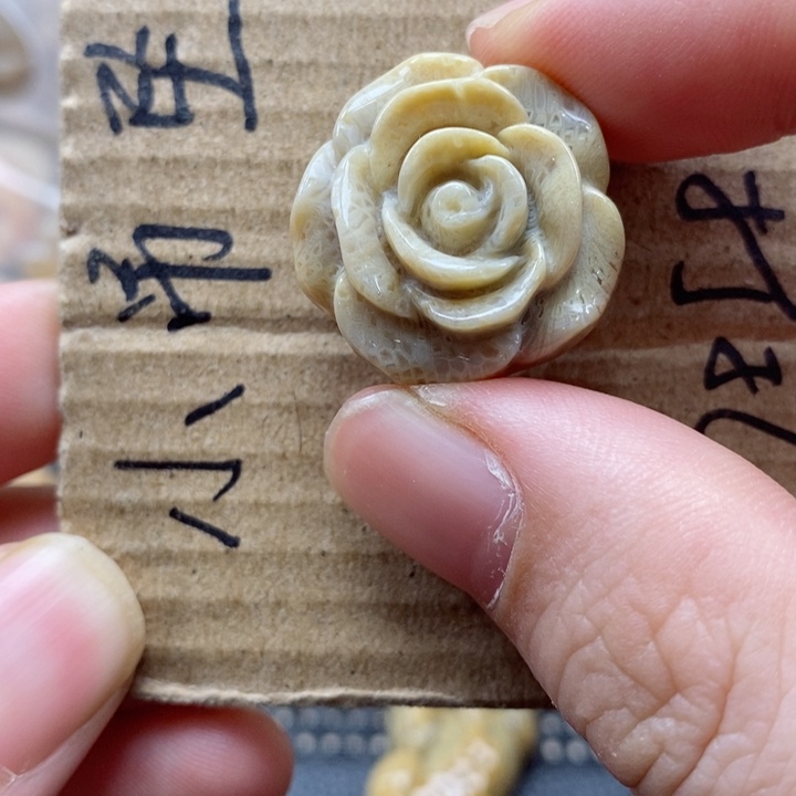 硅化珊瑚（珊瑚玉）颈饰未镶嵌