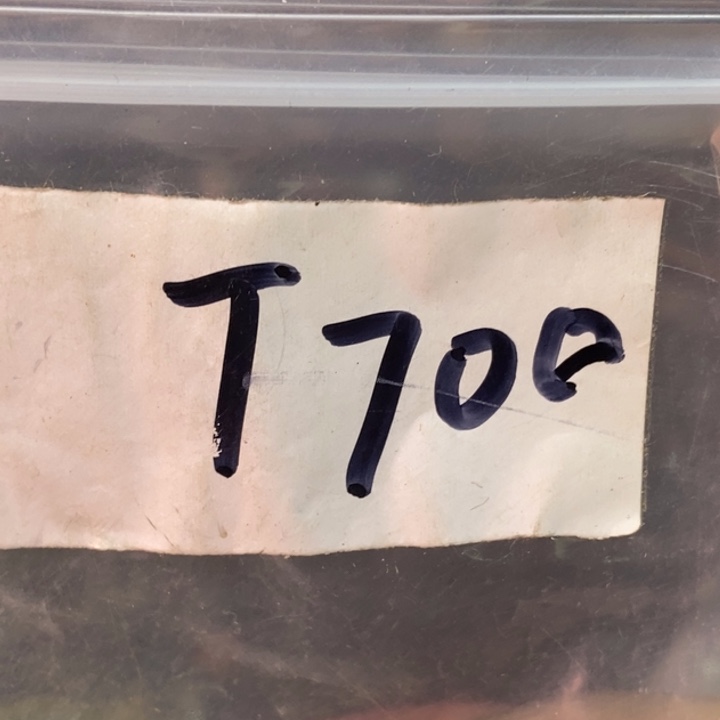 w***u民间杂项文玩直播间专属链接 