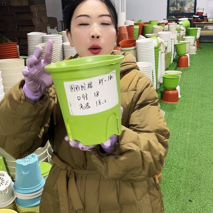 正品圆控口18高18果绿8只无托