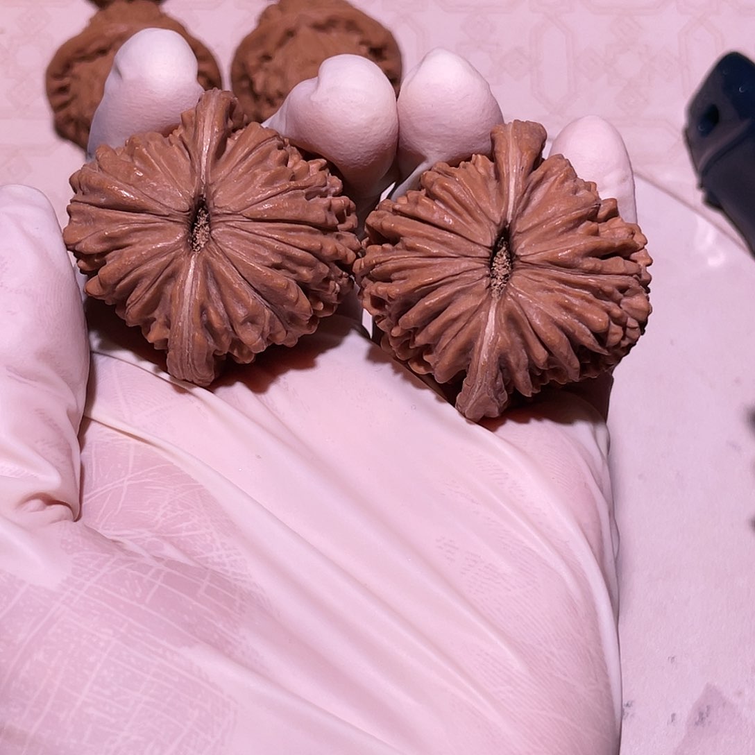 【闪购商品】41楼子