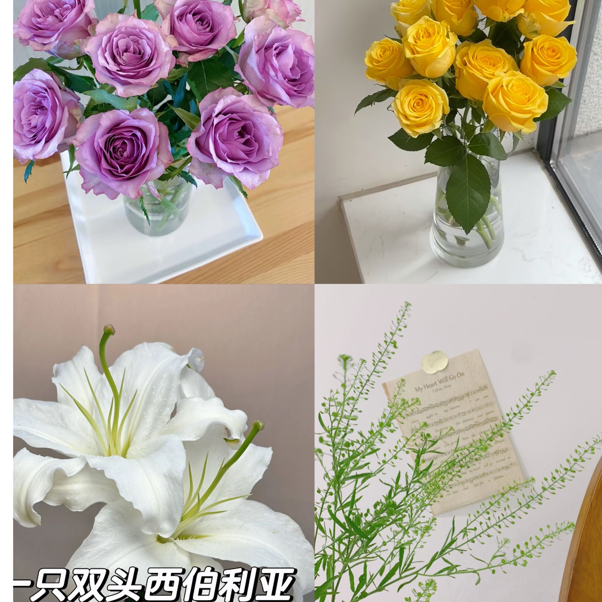 5枝紫霞仙子玫瑰+5枝金枝玫瑰+1枝百合+配草+保鲜剂