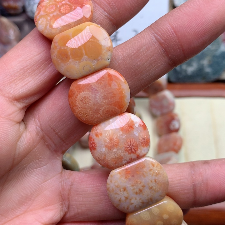 硅化珊瑚（珊瑚玉）颈饰未镶嵌