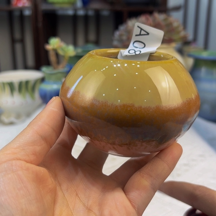 景德镇陶瓷研究所