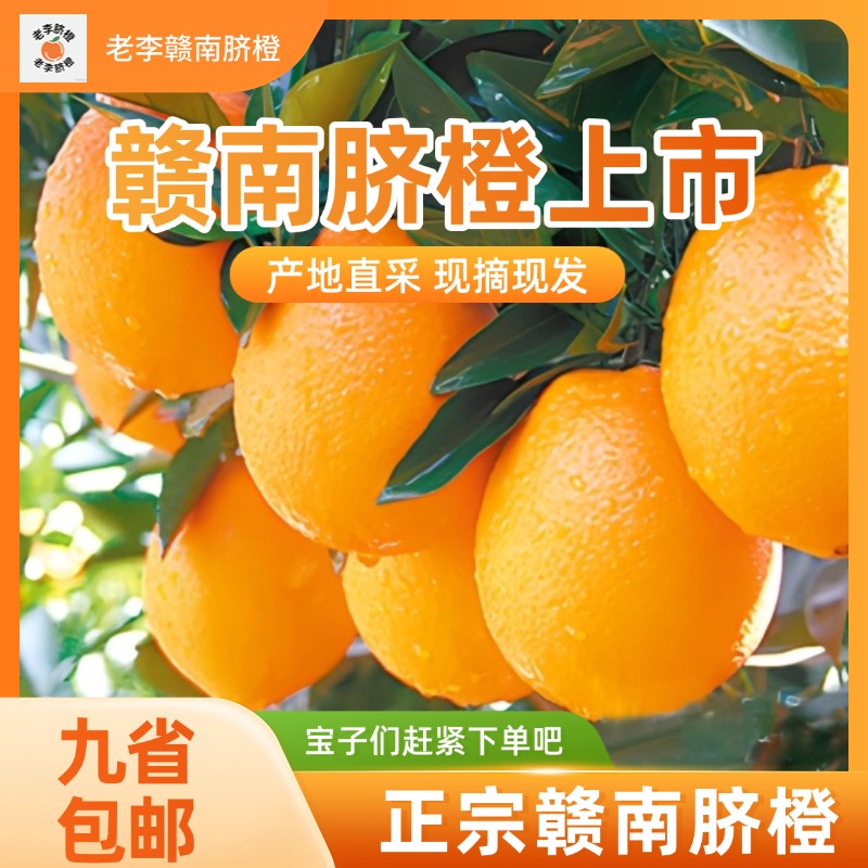 正宗（三百山）赣南脐橙现摘现发清甜多汁原产地水果(试吃装）