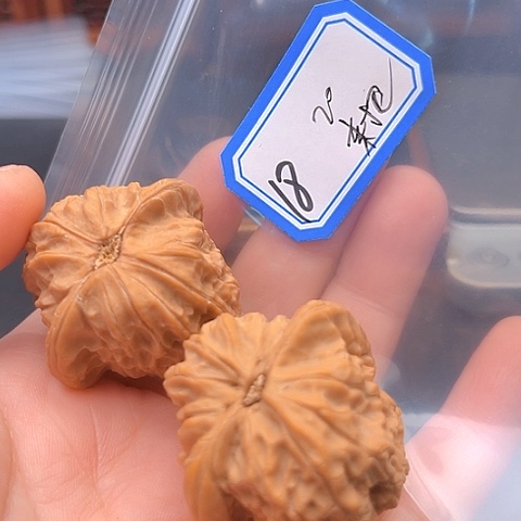 文玩核桃吊坠来**子南瓜