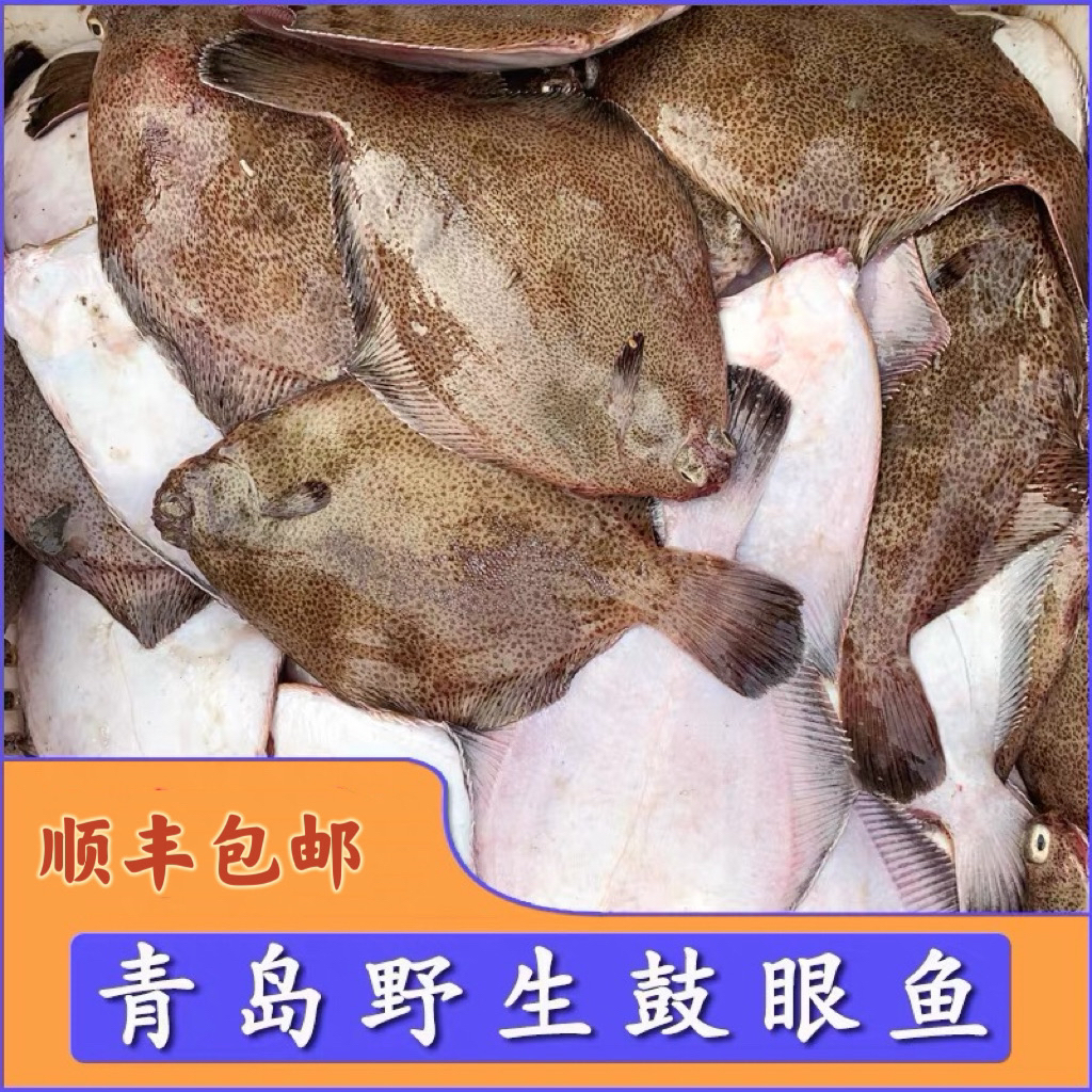 顺丰包邮 青岛本地鼓眼鱼1斤10-13条5斤送货上门