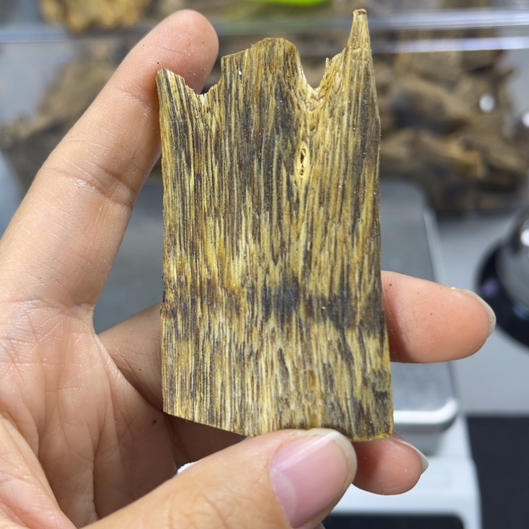 八***斜沉香碎屑沉香海南棋楠0011