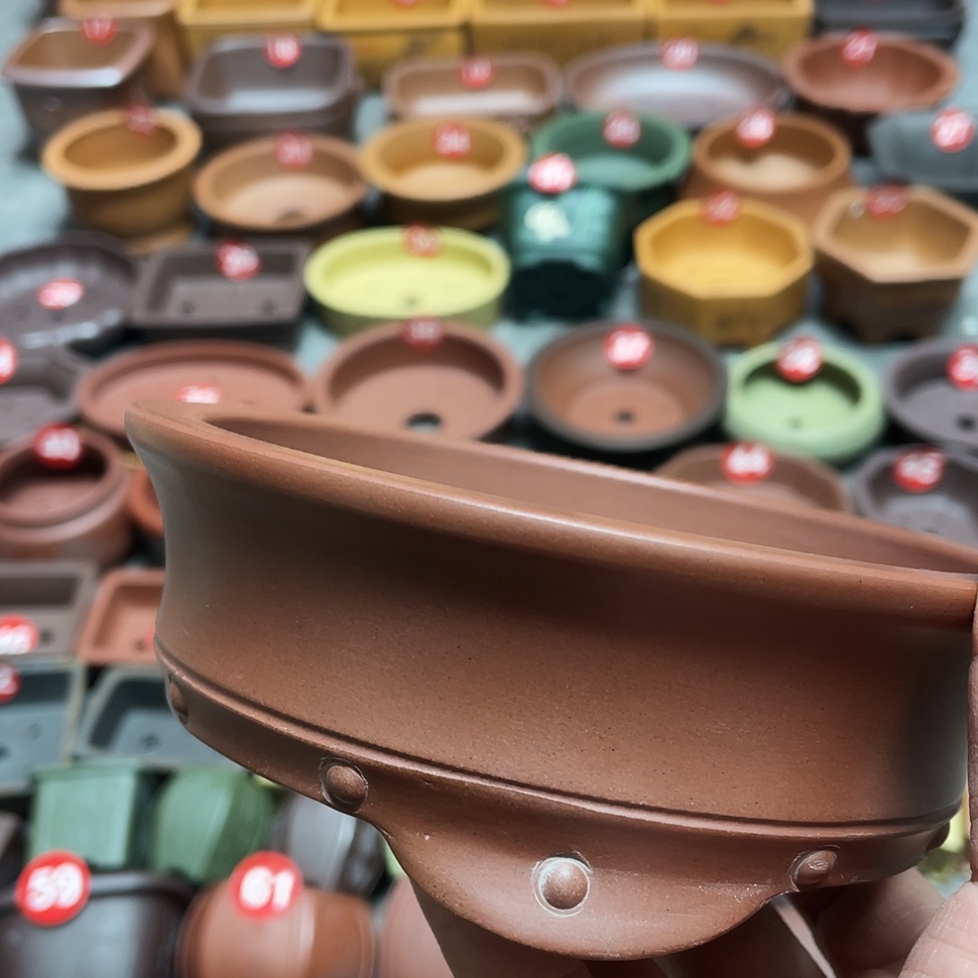 狂***后紫砂小盆12.5*3.5cmmmm