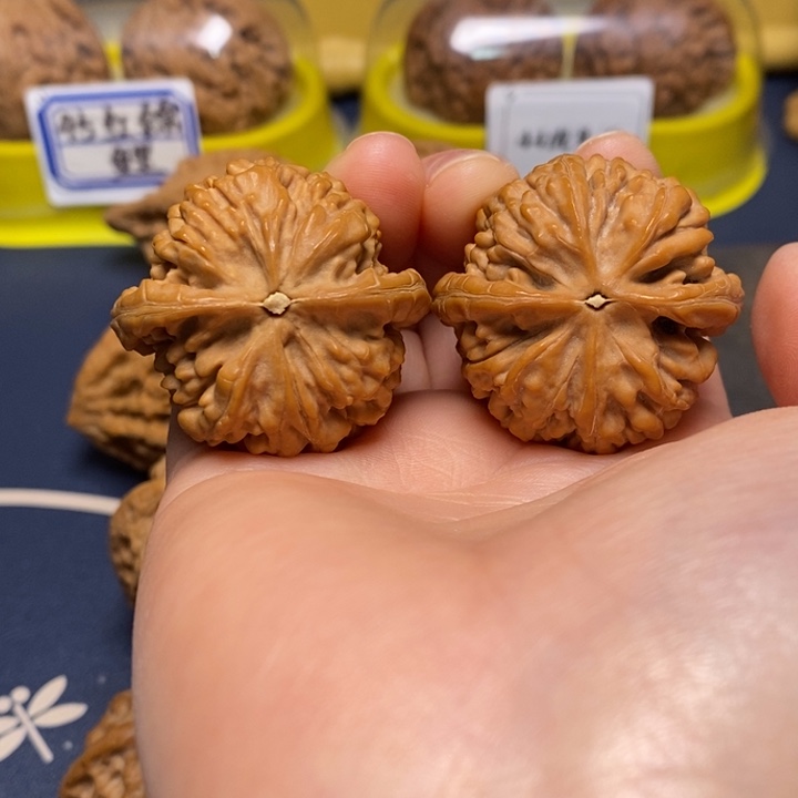 文玩核桃把件蚂蚁王