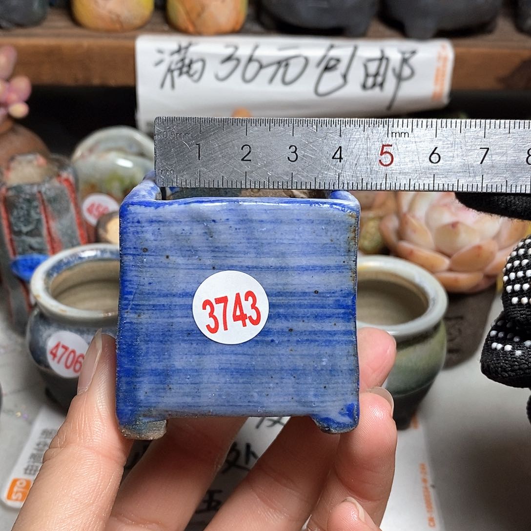 红陶拍5送一个小