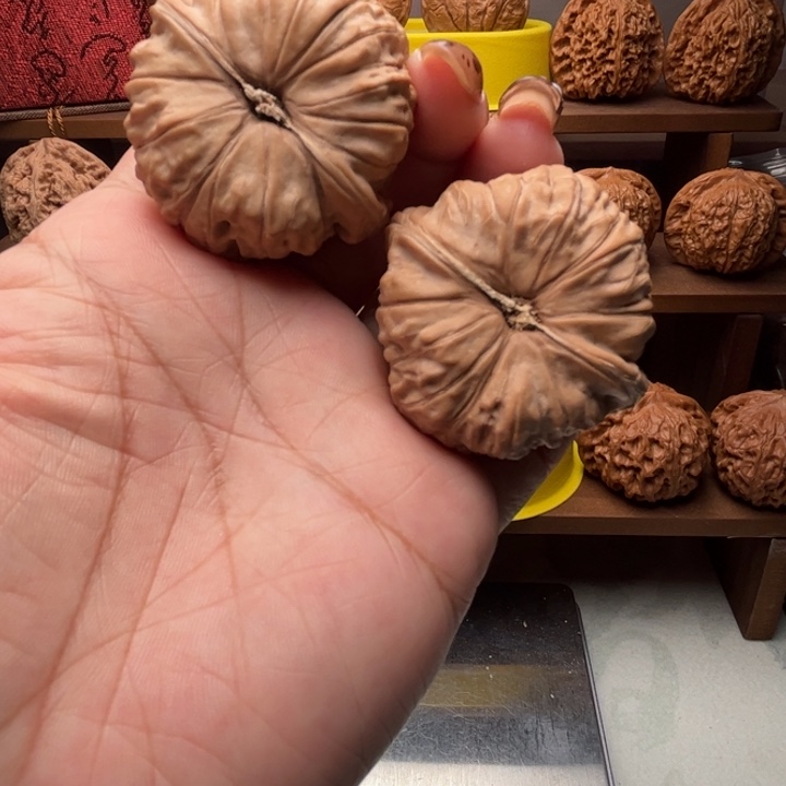 核桃漫画墩45全品5-009