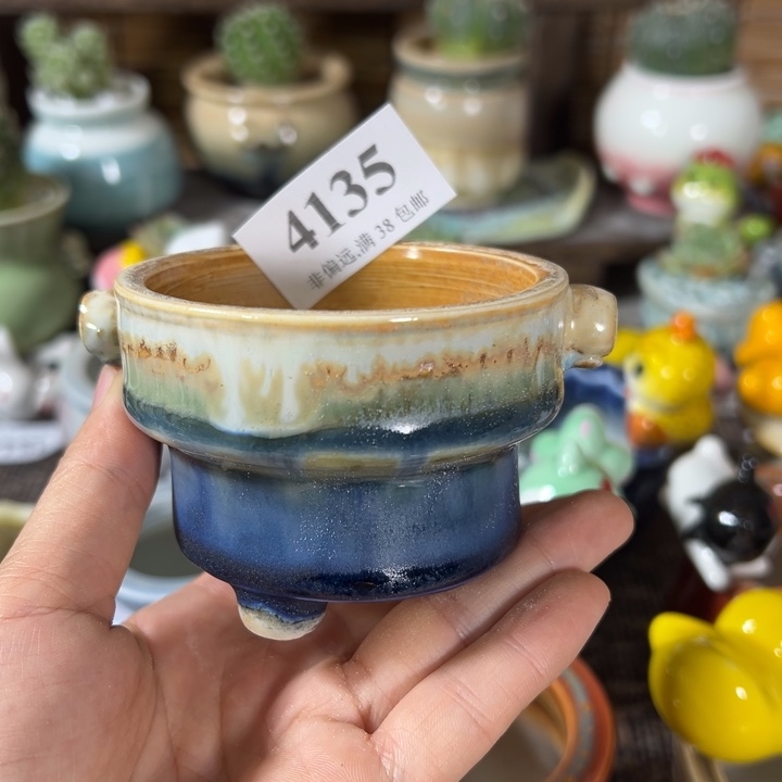 口6高5   活动价满30包邮