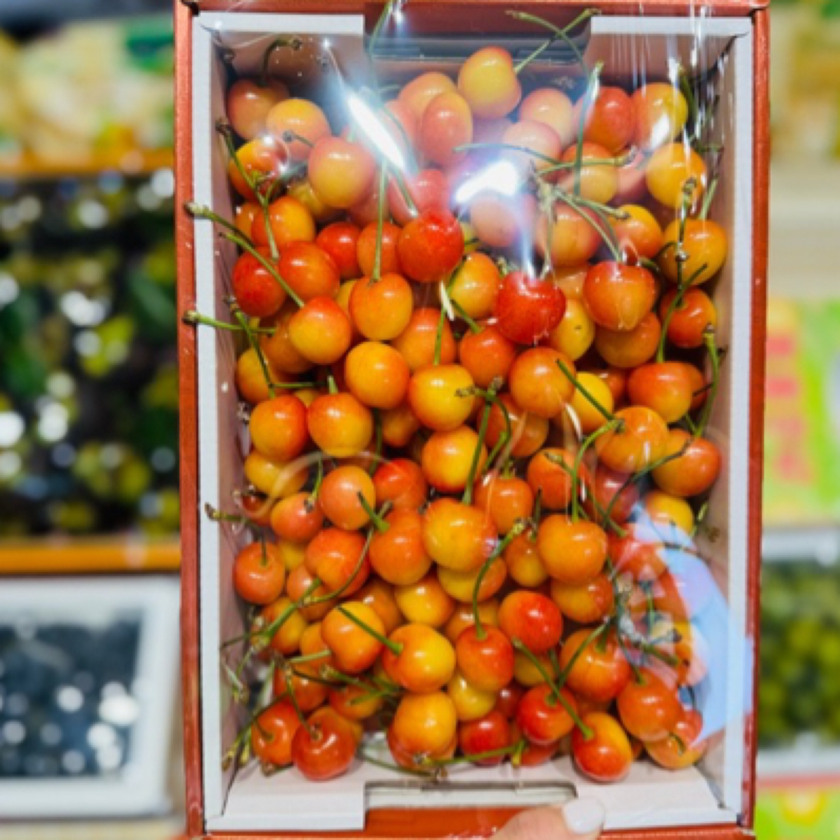 黄蜜樱桃一箱装kgJ其他品种