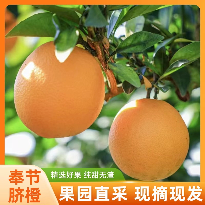 正宗奉节脐橙新鲜应季水果入口脆嫩化渣产地直发10斤装
