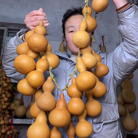天然植物葫芦文玩