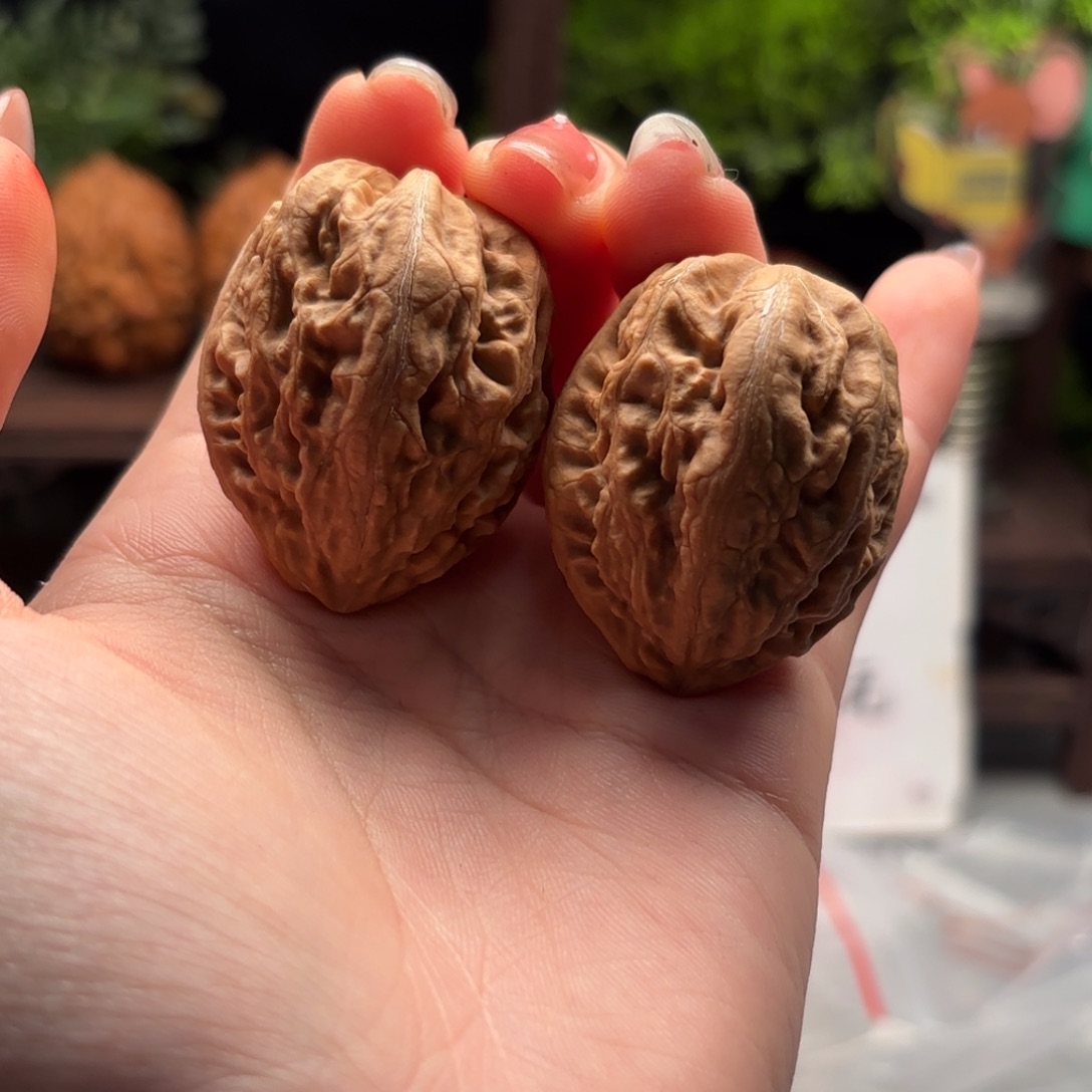 文玩核桃把件小楸千97