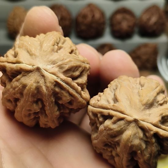 吊坠文玩核桃大楸核桃2号