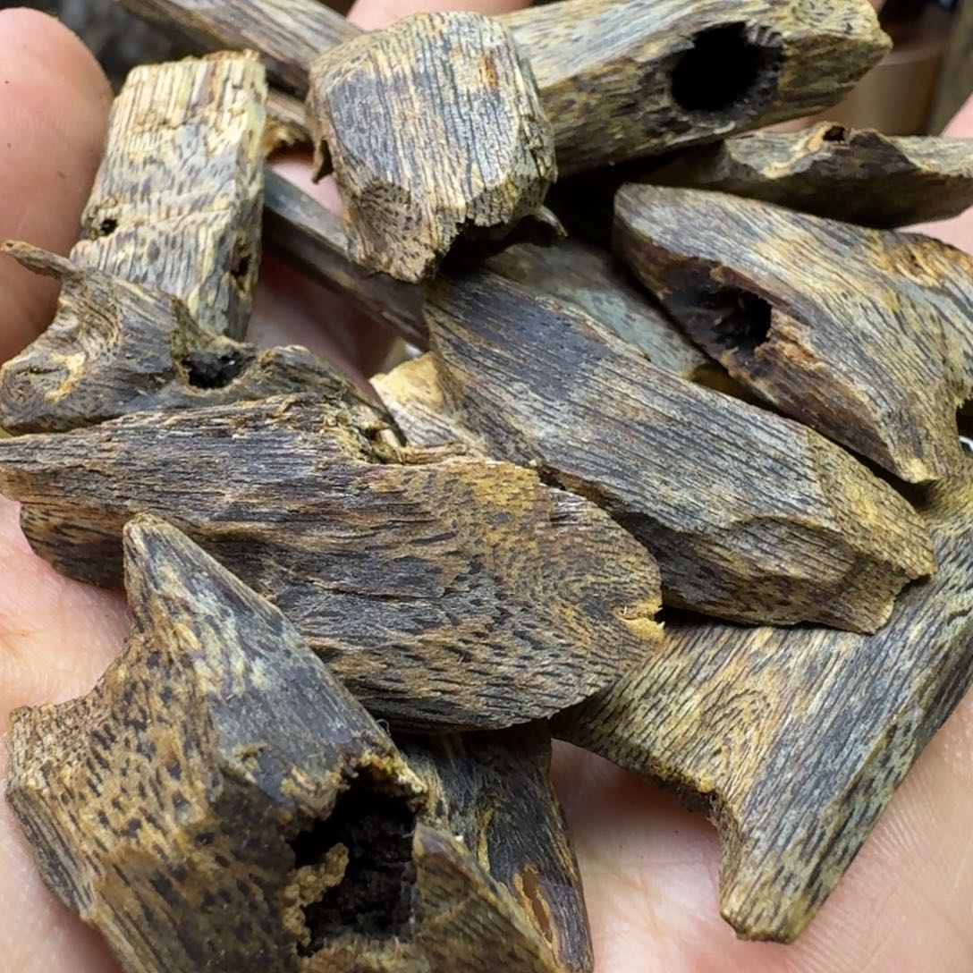 沉香沉香碎屑红骨凹身高油块料50g