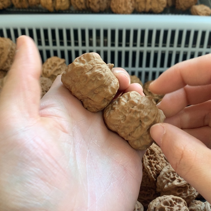 野***撞文玩核桃把件蛤蟆