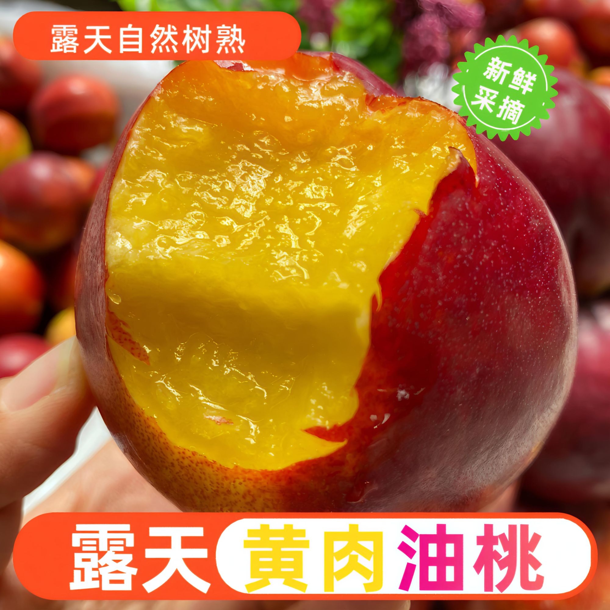 新鲜水果采摘黄心红油桃脆爽清甜汁水多产地直销当季新果
