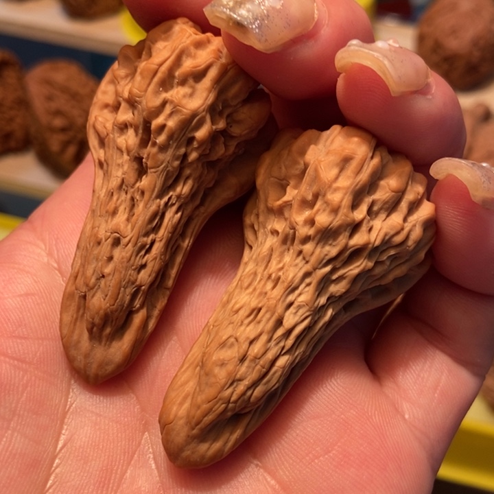 官方网站发布消息鸭嘴