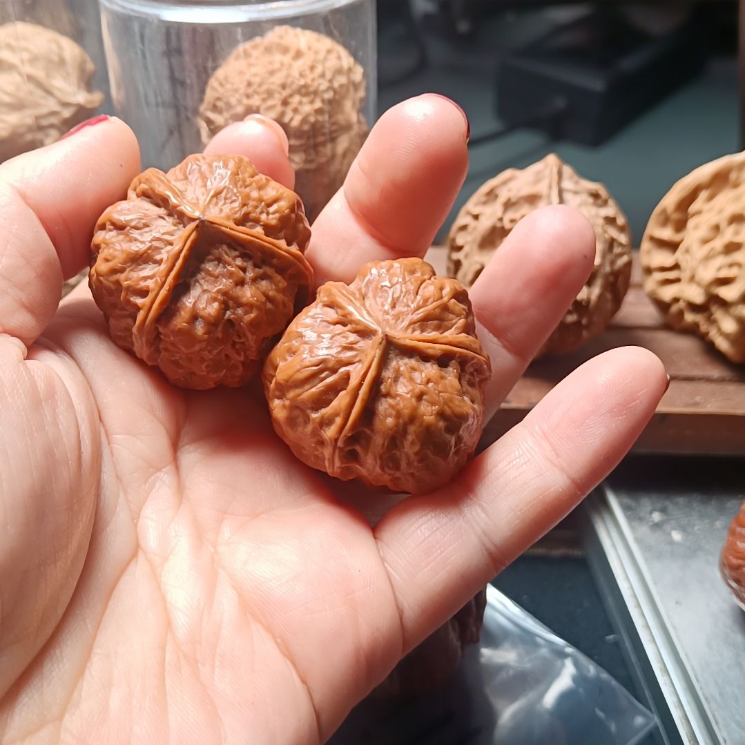 文玩核桃把件6666666666666666666