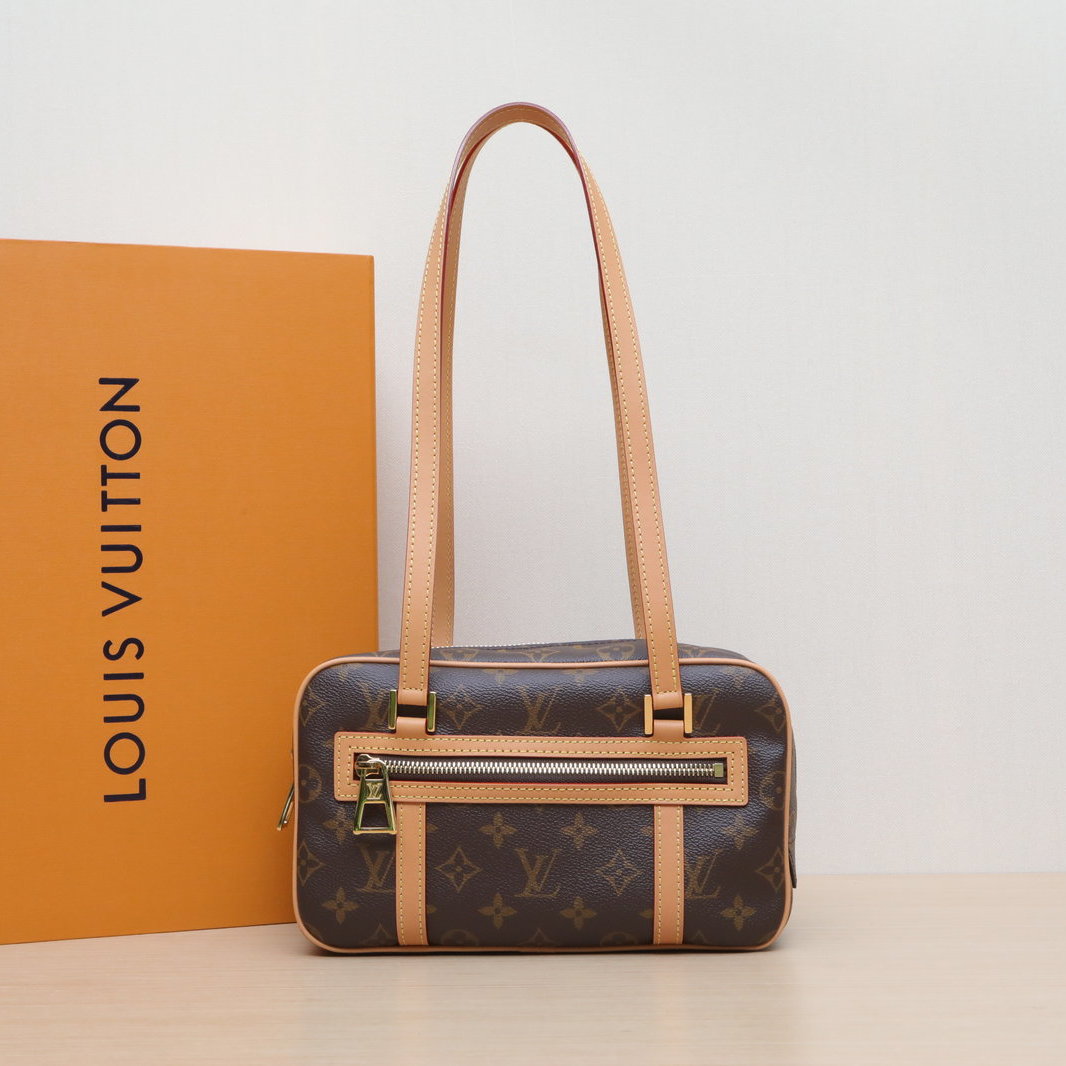 99新 LouisVuitton/路易威登 【双双】 矩形手袋老花 PVC 芯片