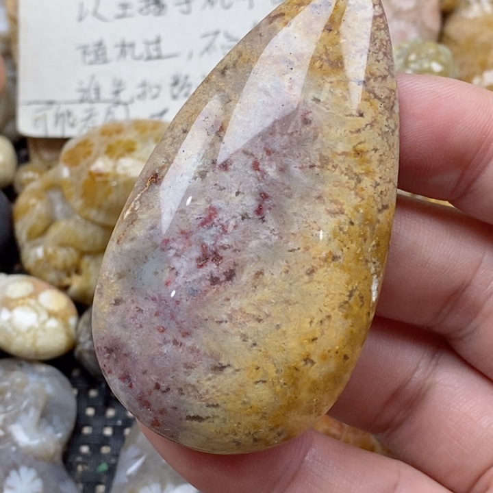 颈饰未镶嵌硅化珊瑚（珊瑚玉）有瑕