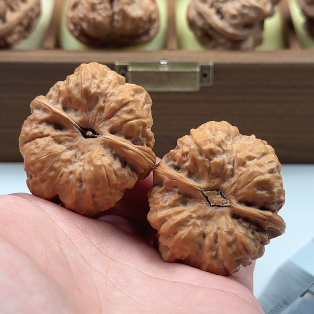 延庆蛤蟆山地果子