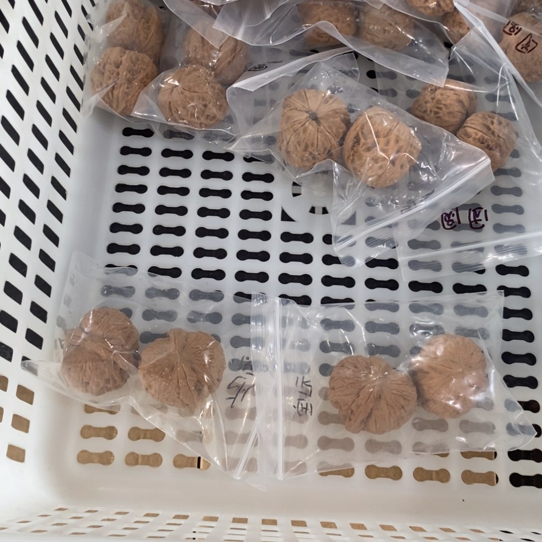 L***L文玩核桃吊坠青蛙