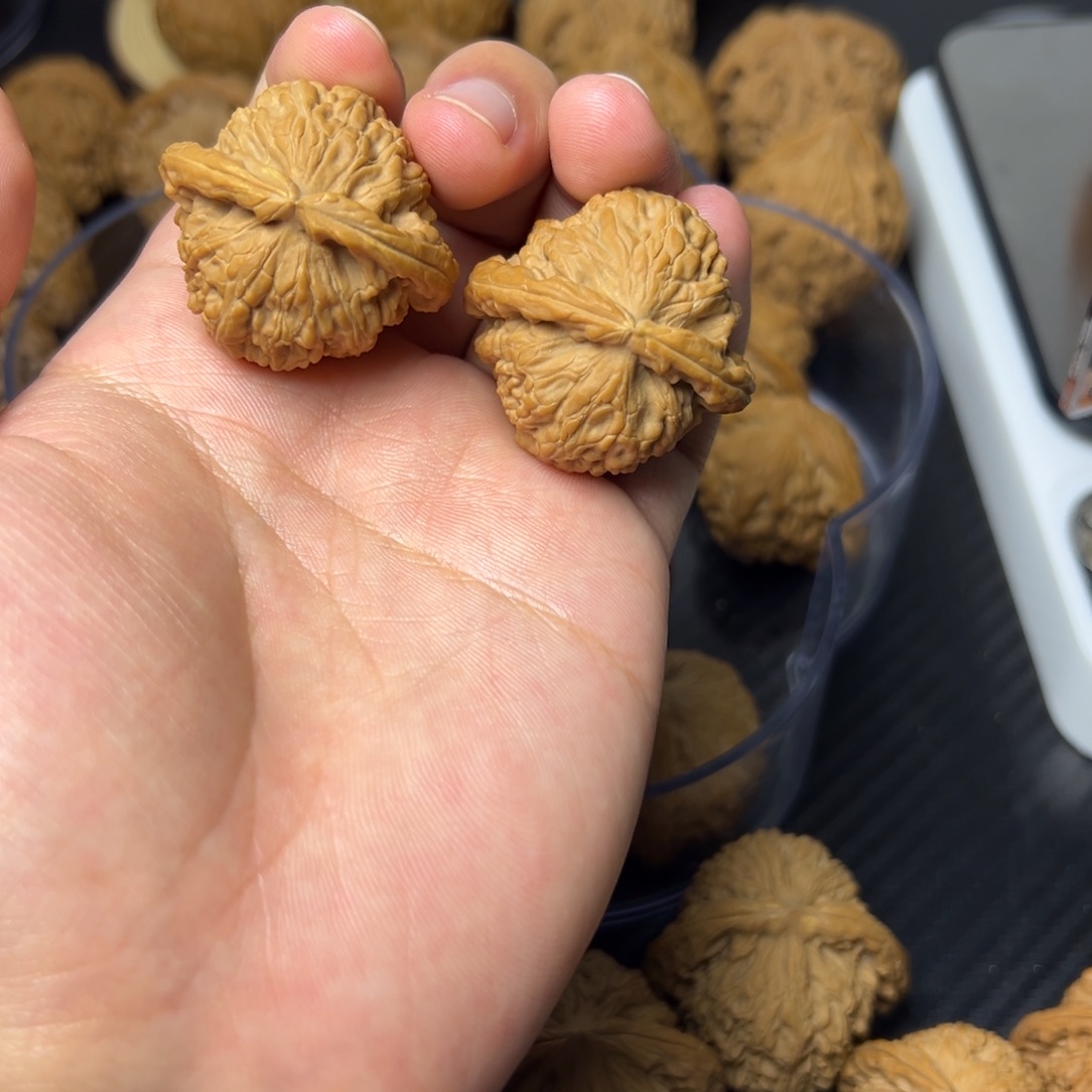 吊坠文玩核桃白狮子有黄37