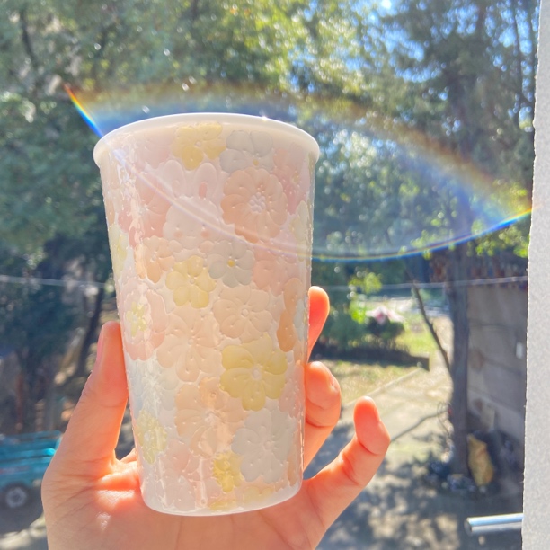 满绘大容量双层带盖粉色万花陶瓷水杯