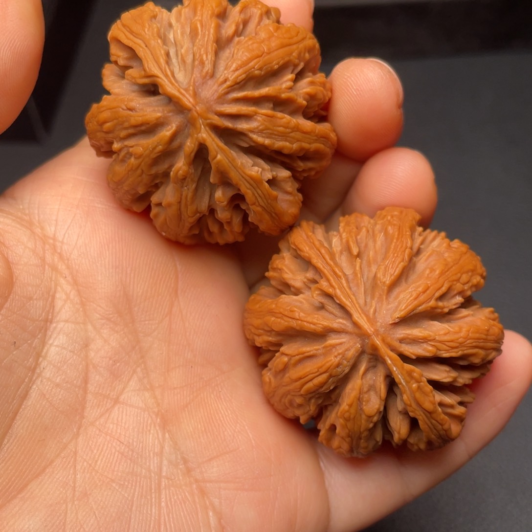 秦岭山脉文玩核桃