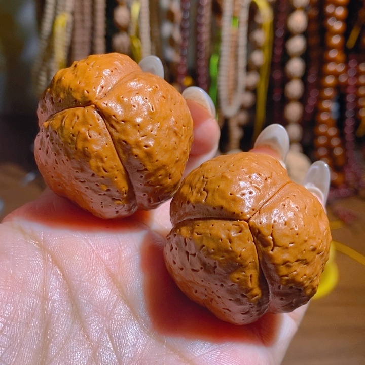 野生三瓣大金刚光头强4045