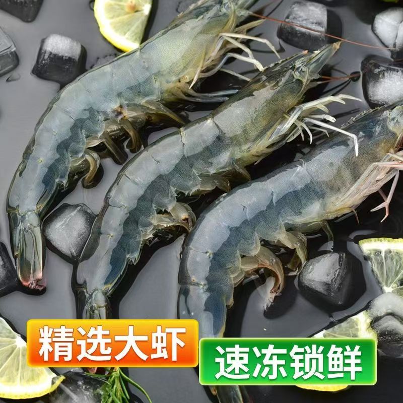 【2030】大大号 海洋虾速冻锁鲜 一斤10-15只  到手一盒4斤