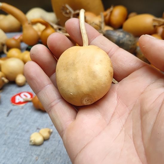 友****葫芦娃娃娃娃娃娃娃娃娃娃娃