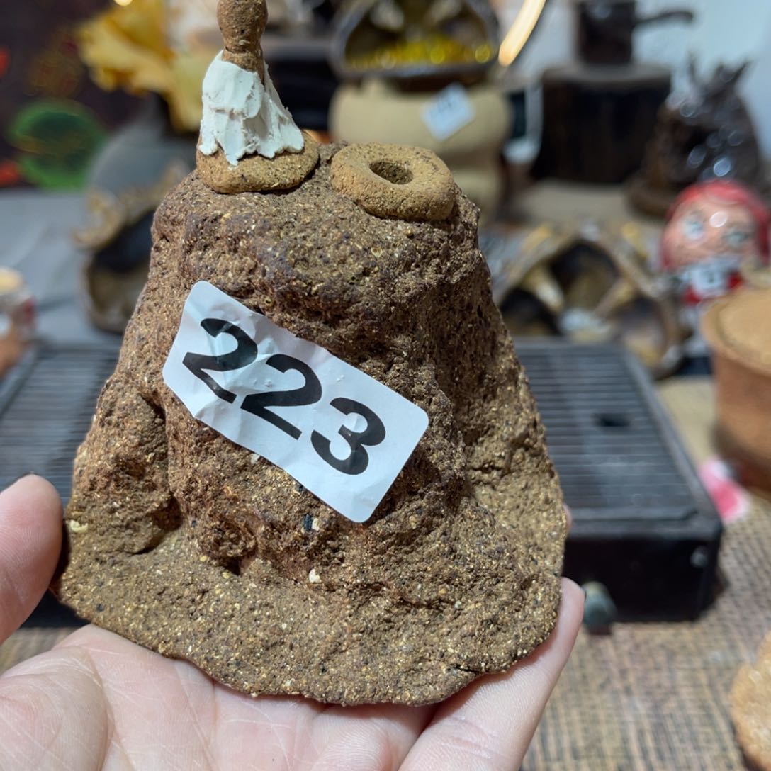 木村信弘柴烧保平