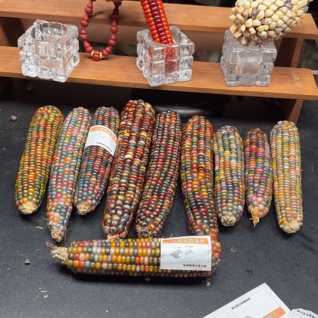 镜***店七彩宝石文玩玉米