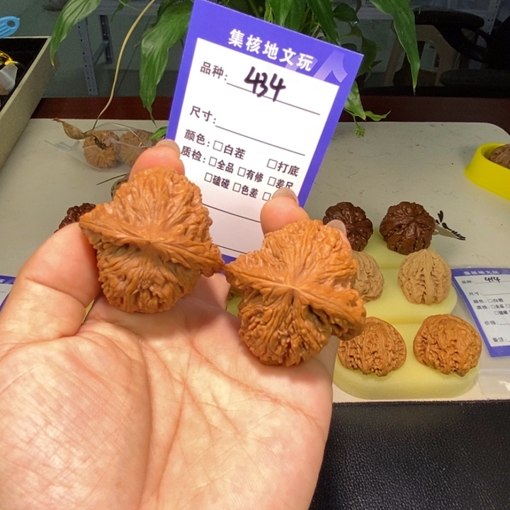 文玩核桃把件434号，45尺球疆有修