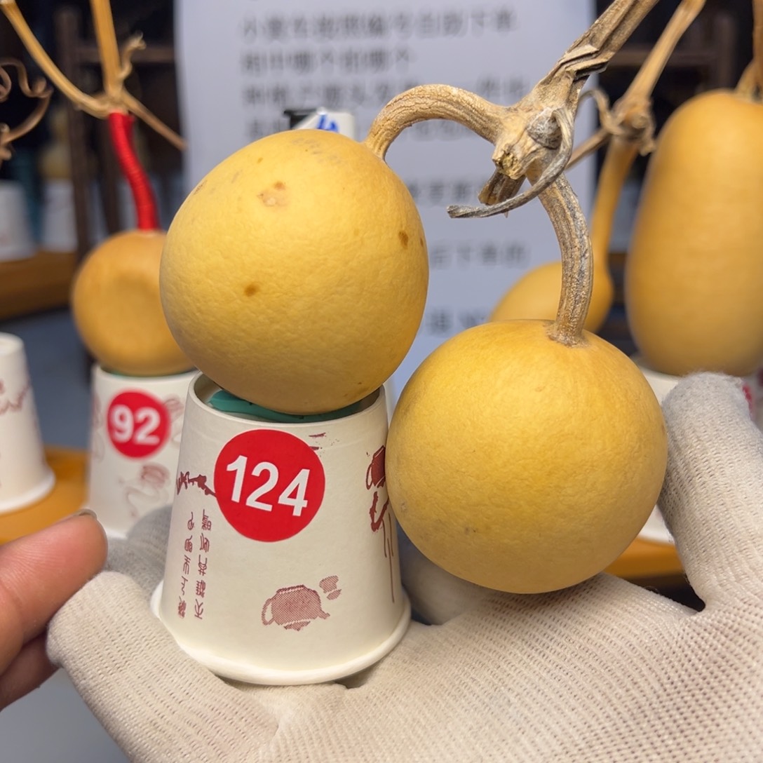 闪电购自助下单编号124有瑕