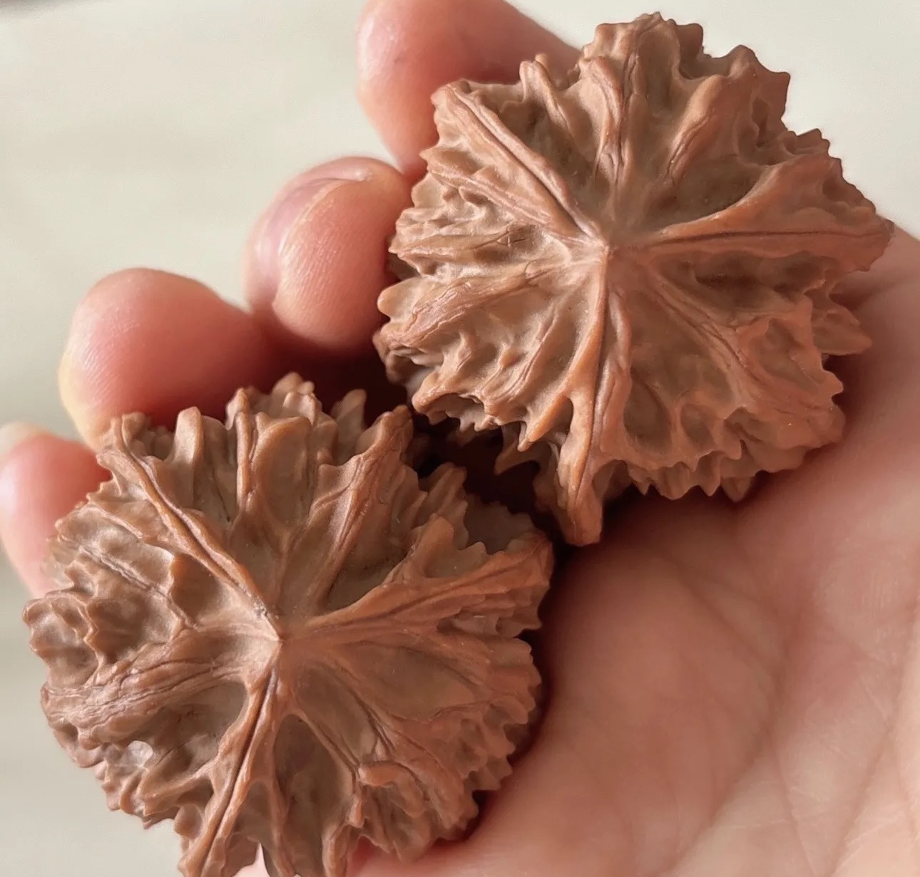 岐山三棱包熟保三棱99元10个