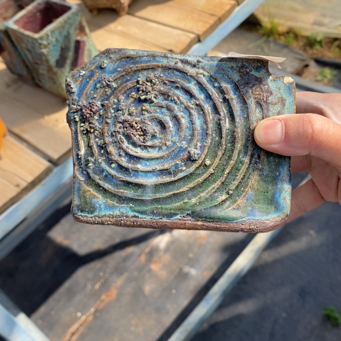 红陶彧*21号多肉盆一个呀