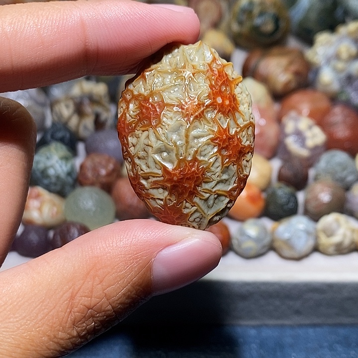 石头加*?精品筋脉单科