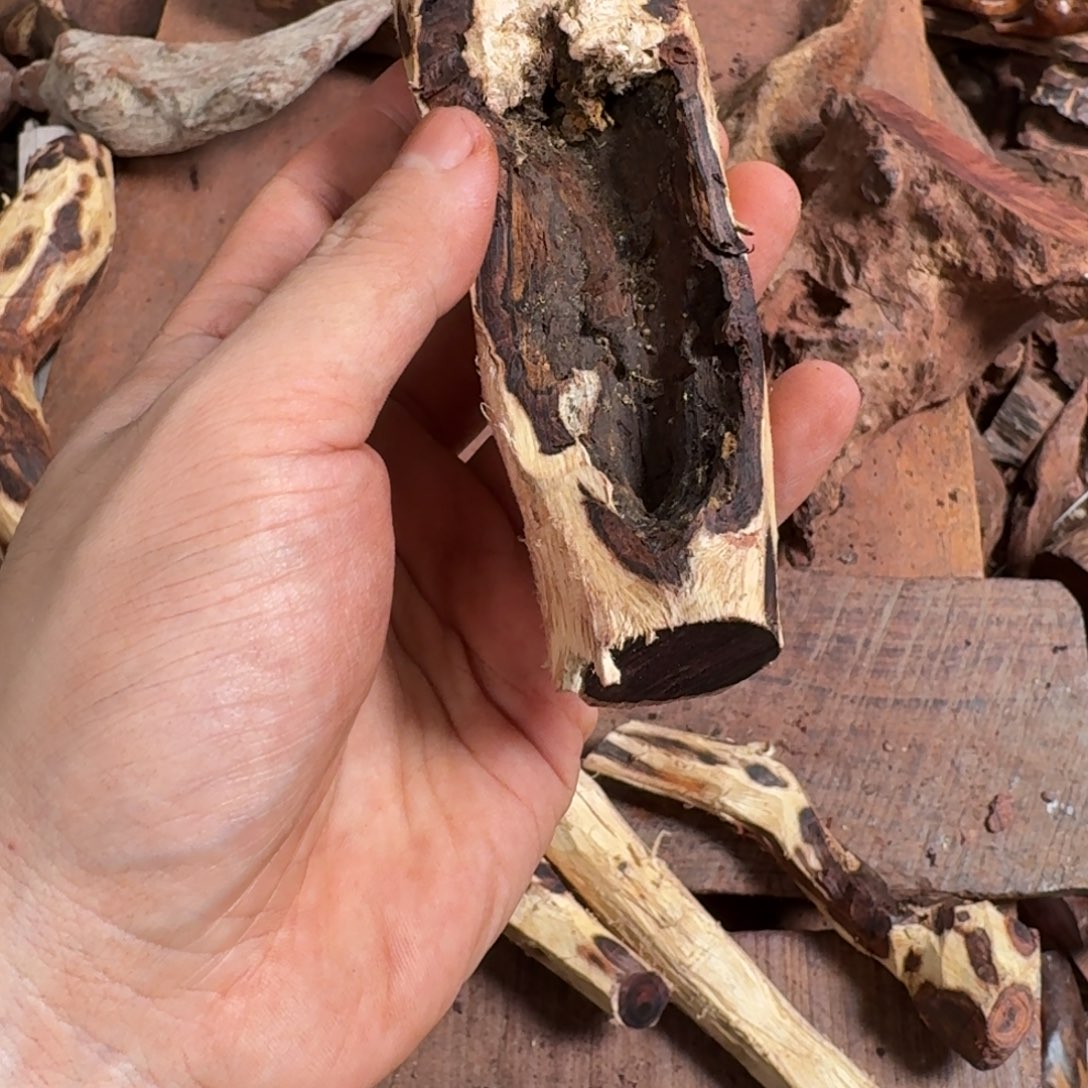 大***春黄花梨/降香黄檀手串海黄原料定制开料不退换