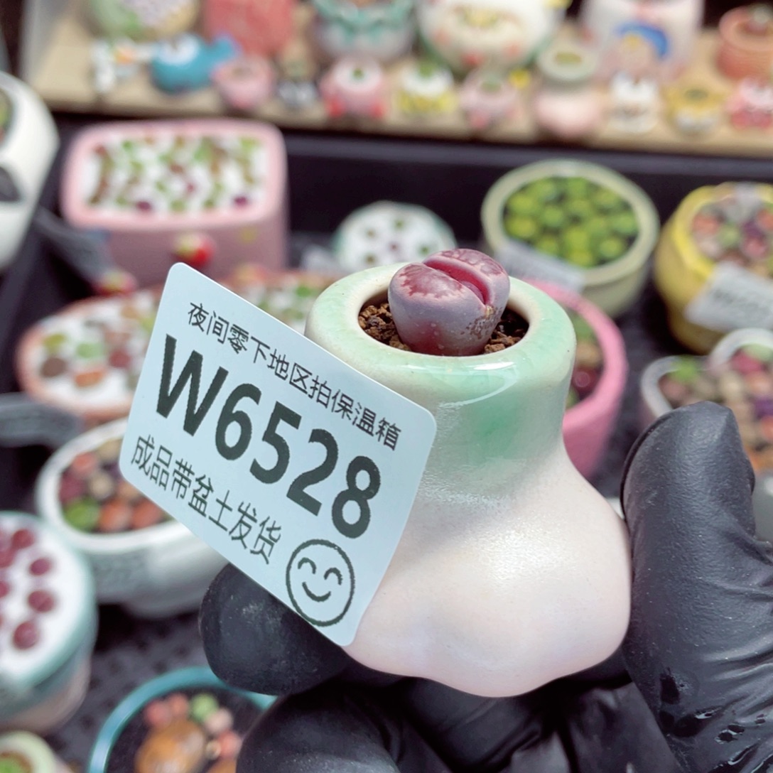 夜间零下地区拍保温箱w6528