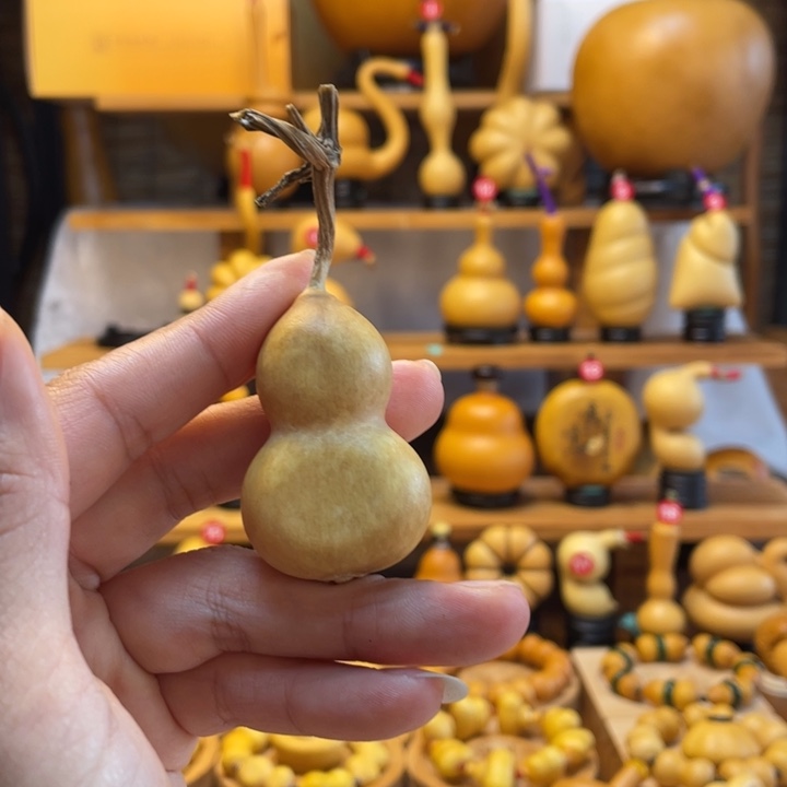 周***》天然葫芦自然生长